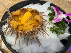 -老大连·海肠捞饭·大连海鲜大连菜(西安路店)