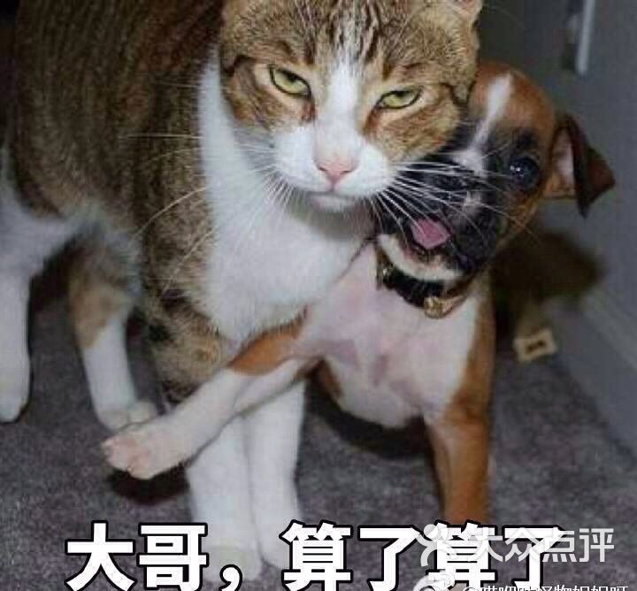 梦花街馄饨图片 - 第3026张