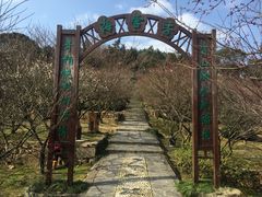 景点-香雪海