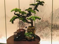 店内布置-潮上潮(南中环店)