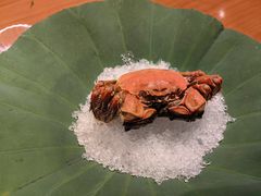 -觀芷隐轩