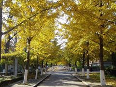 -大连理工大学(凌水校区)
