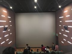 -纵横国际影城杜比全景声巨幕(天安云谷店)