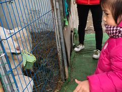 -小鱼草莓采摘园农家乐·小鱼餐厅