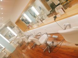 -THE LOG SALON 记录