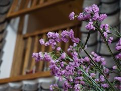 -瓦库茶馆17号(海汇港店)