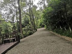 -南山植物园