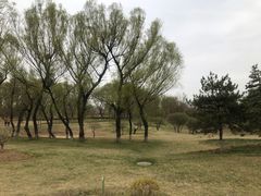 -潇河湿地公园