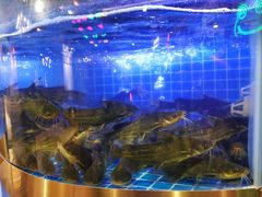 -蛙一刀·麻椒鱼火锅(金仙桥店)