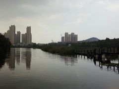 -前关湿地公园
