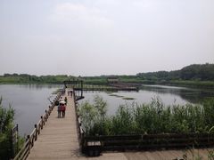 iphone_upload_pic-溱湖国家湿地公园
