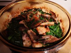 香葱焗石斑鱼-尚一汤·粤菜海鲜(环球港店)