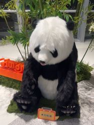 -IMON·HANSA潮玩玩偶毛绒玩具(通州万象汇店)