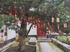 -东山雕花楼