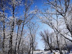 -中旅松花湖滑雪场