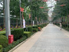 -南宫五洲植物乐园