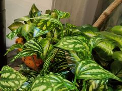 -湘当爱·鲜煮现炒(松岗立业路店)