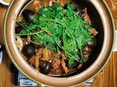 -食爺炭炉鸡煲·烧烤