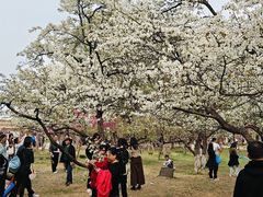 -石家庄市植物园