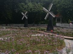 景点-晓港公园
