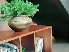 -源本清茶(顺城购物中心店)