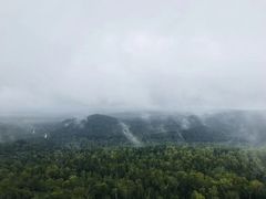 -汤旺河林海奇石景区