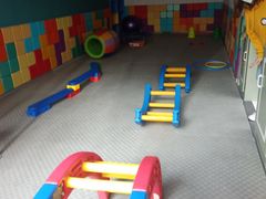 -早慧树儿童感觉统合体能训练中心(市北校区)