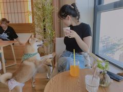 -柴犬小屋·柴餐厅·狗咖食堂(金鼎广场店)