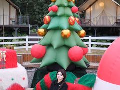 -云栖山谷野奢营地