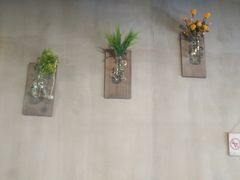 -莱茵体育生活馆