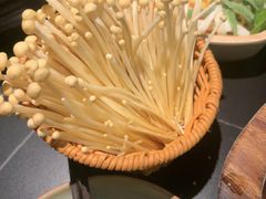 -季季山·云南野生菌火锅(上海首店)