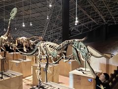 -世界恐龙谷景区