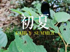 -陶祖圣境风景区
