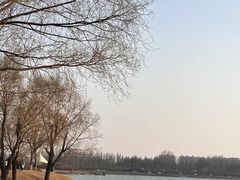 -丁香湖公园