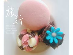 -成都保利公园皇冠假日酒店(熊猫基地店)