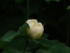 -黄兴公园