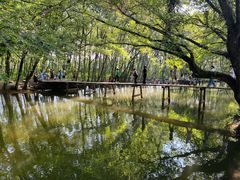 -西溪南古村落景区