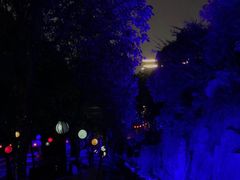 -温州乐园