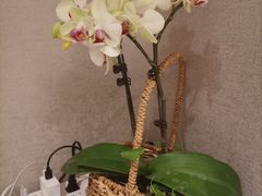 -逸栈养生SPA(望京店)