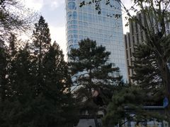 -团结湖公园