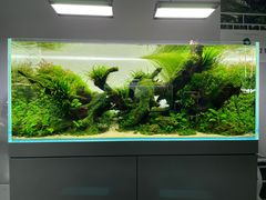 -ADA自然水景世界