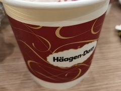 -哈根达斯(石家庄北国店)