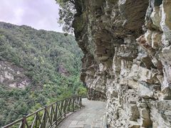 -苍山感通索道