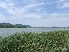 -东湖落雁景区