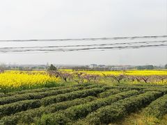 -木兰云雾山