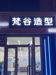 -茗梵谷造型