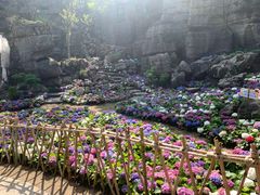 -梭布垭石林景区