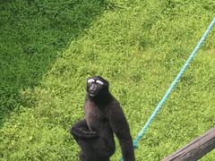 -西霞口神雕山野生动物世界