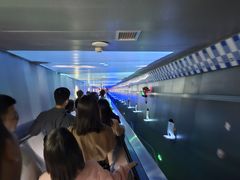 -白鹤梁水下博物馆