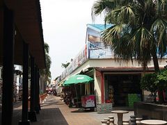 -大湾区中央湿地公园-十九涌